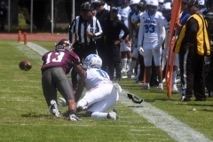 burros-blancos-borregos-cem-onefa-2022-27