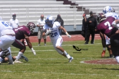 burros-blancos-borregos-cem-onefa-2022-29