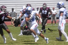 burros-blancos-borregos-cem-onefa-2022-30