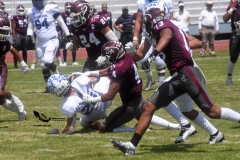 burros-blancos-borregos-cem-onefa-2022-31