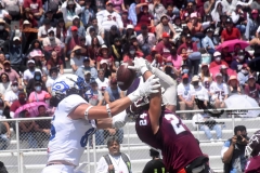 burros-blancos-borregos-cem-onefa-2022-32