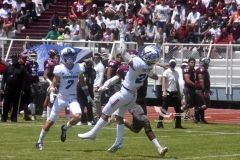 burros-blancos-borregos-cem-onefa-2022-33