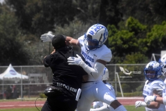 burros-blancos-borregos-cem-onefa-2022-34