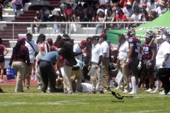burros-blancos-borregos-cem-onefa-2022-35