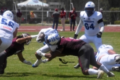 burros-blancos-borregos-cem-onefa-2022-38