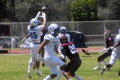 burros-blancos-borregos-cem-onefa-2022-39