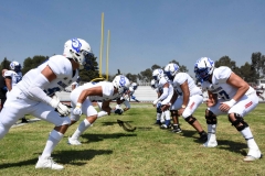 burros-blancos-borregos-cem-onefa-2022-4