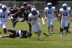 burros-blancos-borregos-cem-onefa-2022-40