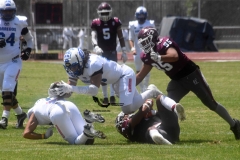 burros-blancos-borregos-cem-onefa-2022-41