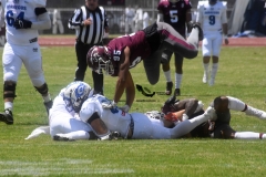 burros-blancos-borregos-cem-onefa-2022-42