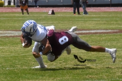 burros-blancos-borregos-cem-onefa-2022-44