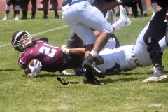 burros-blancos-borregos-cem-onefa-2022-48