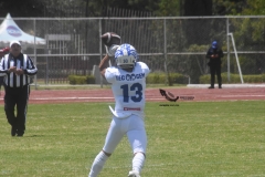 burros-blancos-borregos-cem-onefa-2022-50