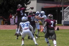 burros-blancos-borregos-cem-onefa-2022-51