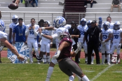 burros-blancos-borregos-cem-onefa-2022-54