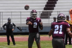 burros-blancos-borregos-cem-onefa-2022-56