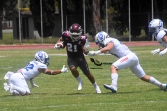 burros-blancos-borregos-cem-onefa-2022-57