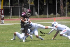 burros-blancos-borregos-cem-onefa-2022-58