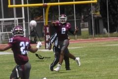 burros-blancos-borregos-cem-onefa-2022-59