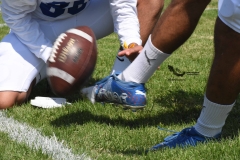 burros-blancos-borregos-cem-onefa-2022-6