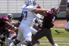 burros-blancos-borregos-cem-onefa-2022-62