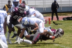 burros-blancos-borregos-cem-onefa-2022-63