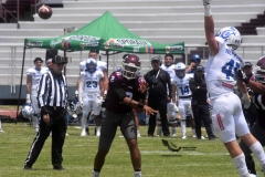 burros-blancos-borregos-cem-onefa-2022-66