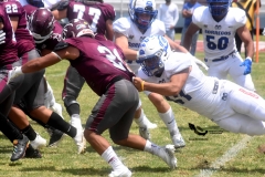 burros-blancos-borregos-cem-onefa-2022-67