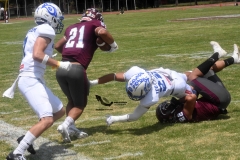 burros-blancos-borregos-cem-onefa-2022-68