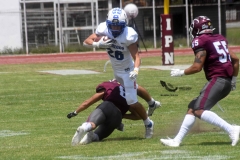 burros-blancos-borregos-cem-onefa-2022-69