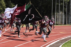 burros-blancos-borregos-cem-onefa-2022-7