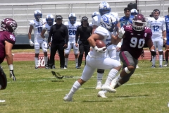 burros-blancos-borregos-cem-onefa-2022-70
