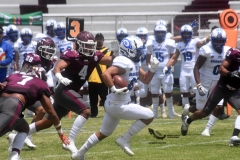burros-blancos-borregos-cem-onefa-2022-71