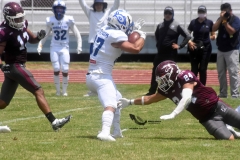 burros-blancos-borregos-cem-onefa-2022-72