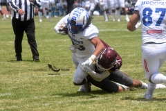 burros-blancos-borregos-cem-onefa-2022-73