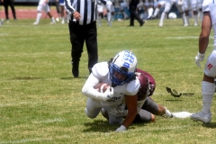 burros-blancos-borregos-cem-onefa-2022-74