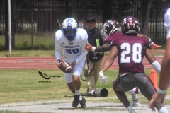 burros-blancos-borregos-cem-onefa-2022-80