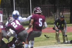 burros-blancos-borregos-cem-onefa-2022-81