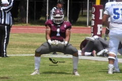 burros-blancos-borregos-cem-onefa-2022-82