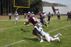 burros-blancos-borregos-cem-onefa-2022-83