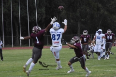burros-blancos-borregos-cem-onefa-2022-86