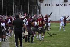 burros-blancos-borregos-cem-onefa-2022-87
