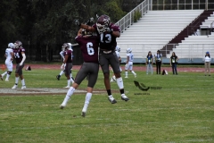 burros-blancos-borregos-cem-onefa-2022-88