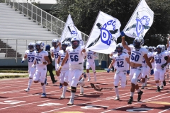 burros-blancos-borregos-cem-onefa-2022-9