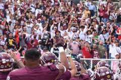 burros-blancos-borregos-cem-onefa-2022-96