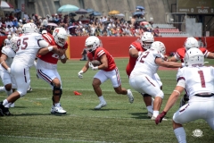 burros-blancos-linces-uvm-2026-mayor-onefa-110