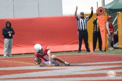 burros-blancos-linces-uvm-2026-mayor-onefa-112