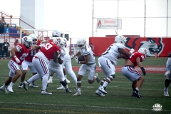 burros-blancos-linces-uvm-2026-mayor-onefa-115