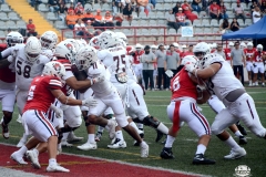burros-blancos-linces-uvm-2026-mayor-onefa-128