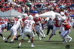 burros-blancos-linces-uvm-2026-mayor-onefa-132